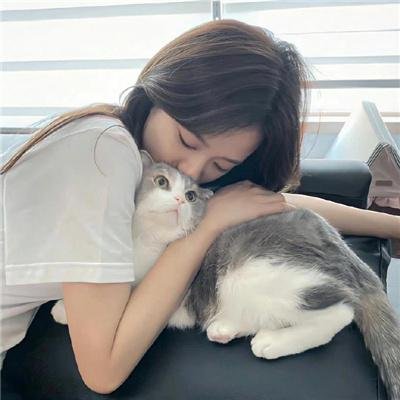 兰闺飞凤